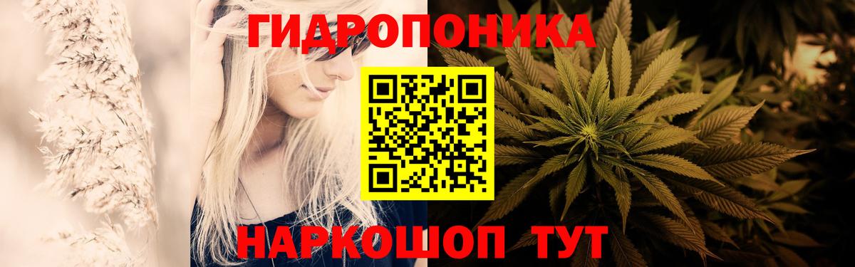 Бошки марихуана индика Лабытнанги